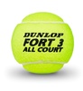 Lauko teniso kamuoliukai DUNLOP FORT ALL COURT TS - 4 vnt. 3